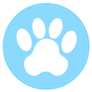 Previous experience and a real passion for dogs